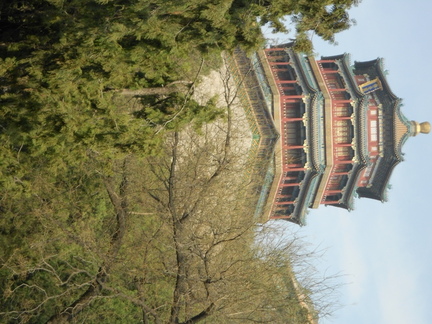20160405 143343 DSCN7152